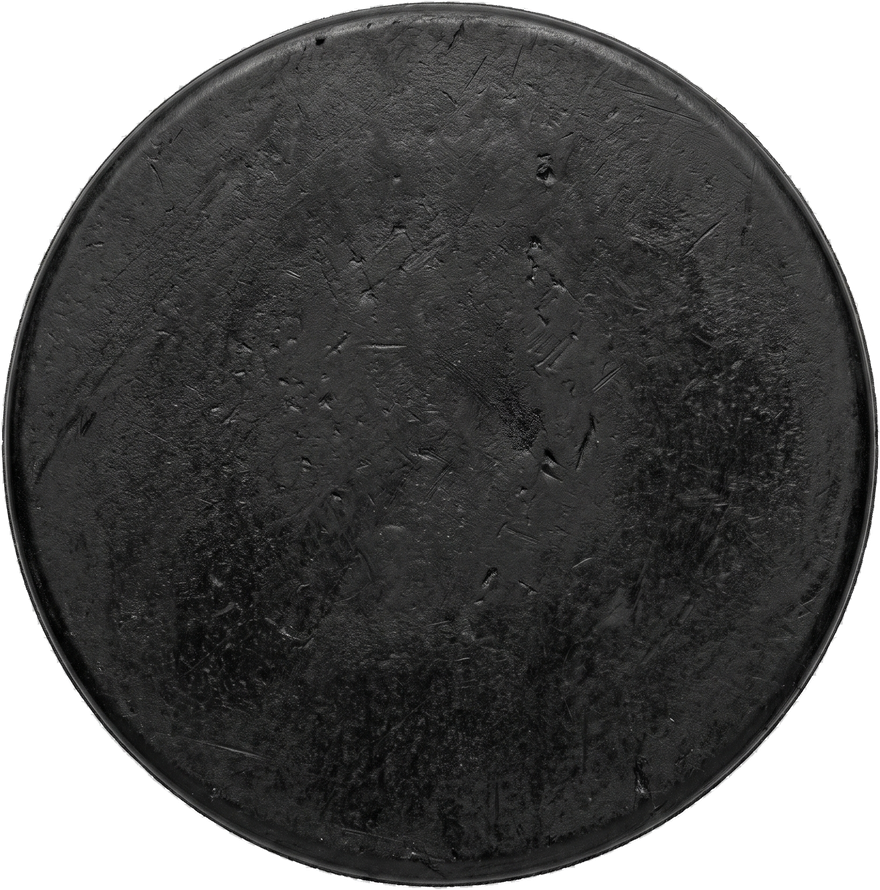 A hockey puck, seen from above